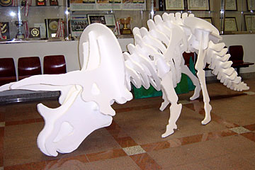 �O�b�Y���