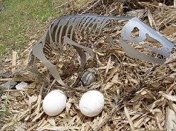 �O�b�Y���