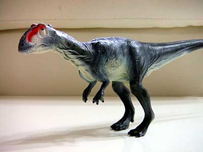 �O�b�Y���