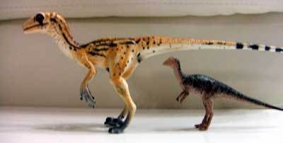 �O�b�Y���