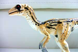 �O�b�Y���