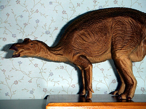 �O�b�Y���