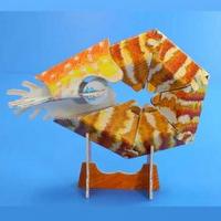 �O�b�Y���