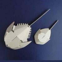 �O�b�Y���