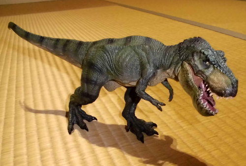 �p�|�Ђ̃e�B���m�T�E���X