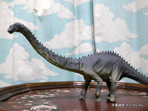 �O�b�Y���