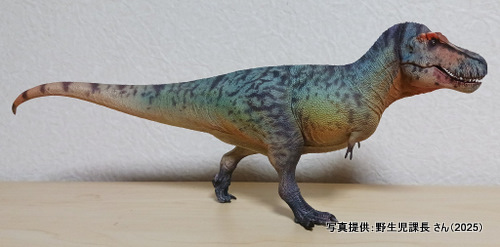 �O�b�Y���