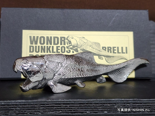 �O�b�Y���