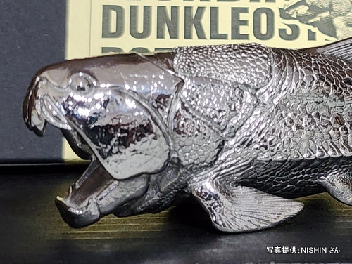 �O�b�Y���