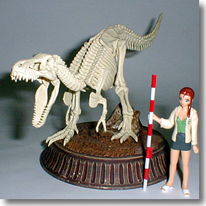 �e�B���m�T�E���X