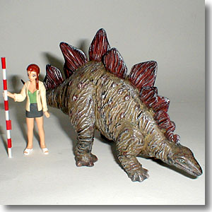 �X�e�S�T�E���X