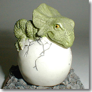 ������o���p��