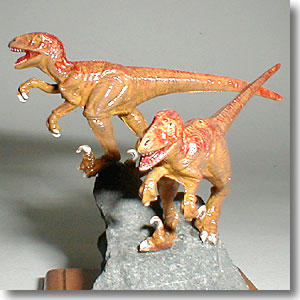 �f�B�m�j�N�X