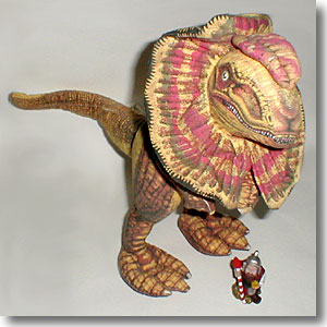 �f�B���t�H�T�E���X