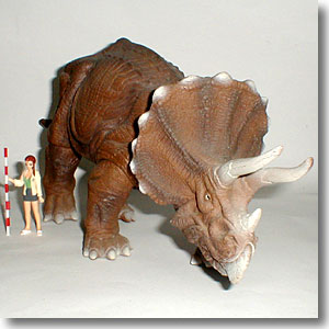 �g���P���g�v�X