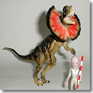 �f�B���t�H�T�E���X