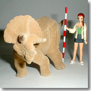 ���������g���P��