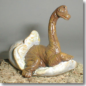 �A�p�g�a��