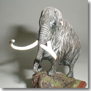 �}�����X