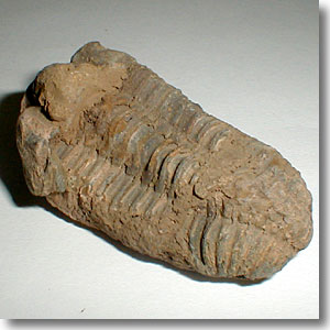 �O�t���̉���