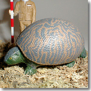 �O���v�g�h��