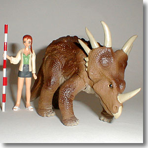 �X�`���R�T�E���X