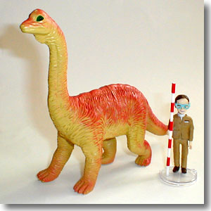 �A�p�g�T�E���X