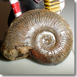 �A�����i�C�g