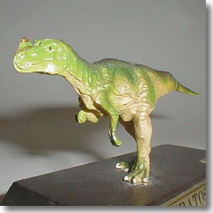 �P���g�T�E���X