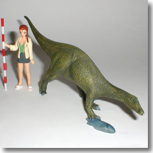 �o���I�j�N�X