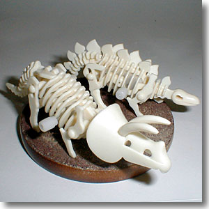 �[���}�C��������