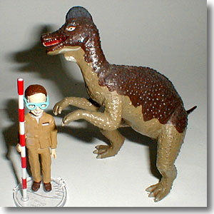 �R���g�T�E���X