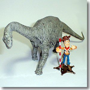 �J�}���T�E���X