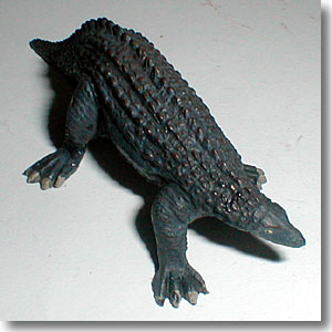 �X�P���h�T�E���X