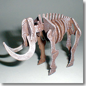 �}�����X���i