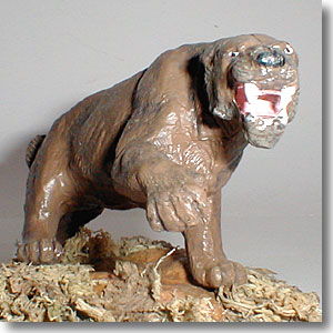 �T�[�x���^�C�K�[