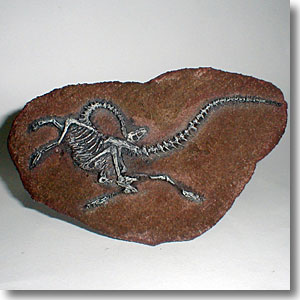 �K���~���X