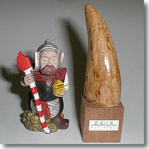 ���H�����̎�