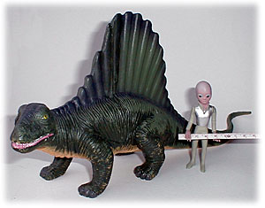 �f�B���g���h��