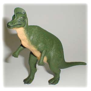 �R���g�T�E���X