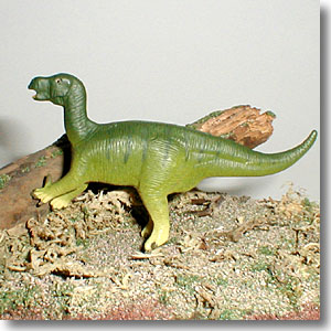 �C�O�A�m�h��