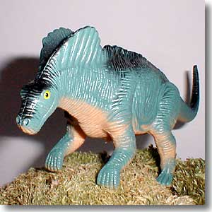 �A�}���K�T�E���X