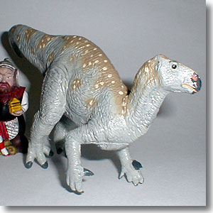 �C�O�A�m�h��