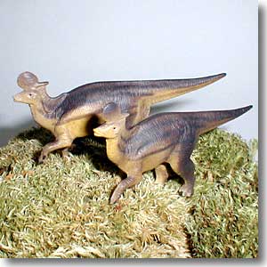 �����׃I�T�E���X