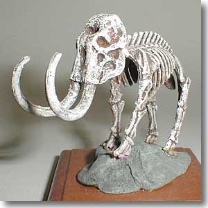 �}�����X�̍��i