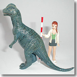 �f�B���t�H�T�E���X