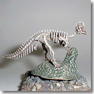 �R���g�T�E���X