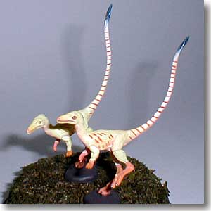 �V�m�T�E���v�e���N�X