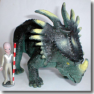 �X�`���R�T�E���X