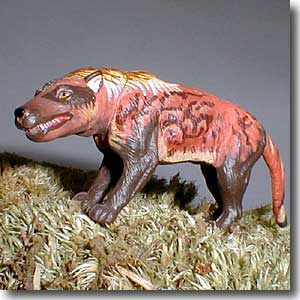 �A���h�����[�T���N�X